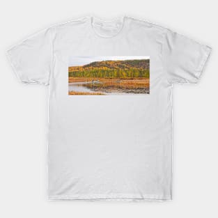 Algonquin Park - Costello Creek T-Shirt